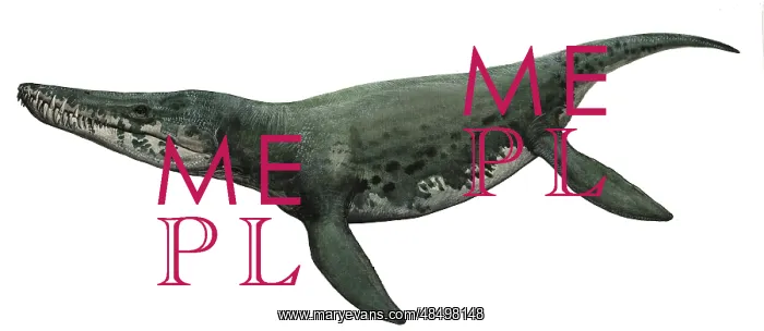 : Illustration of a Kronosaurus from the prehistoric era : Illustration of a Kronosaurus from the prehistoric era
