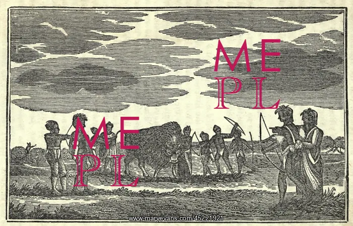 : Illustration from Lewis and Clark's journal ? : Illustration from Lewis and Clark's journal ?