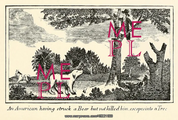 : Illustration from Lewis and Clark's journal ? : Illustration from Lewis and Clark's journal ?