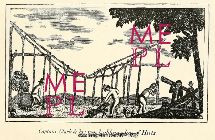 : Illustration from Lewis and Clark's journal ? : Illustration from Lewis and Clark's journal ?
