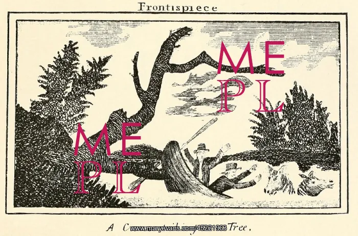 : Illustration from Lewis and Clark's journal ? : Illustration from Lewis and Clark's journal ?