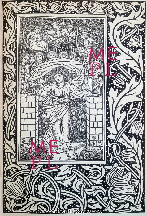 : Illustration, Mary Mary Quite Contrary : Illustration, Mary Mary Quite Contrary