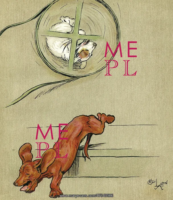 : Illustration, Merry and Bright, by Cecil Aldin : Illustration, Merry and Bright, by Cecil Aldin