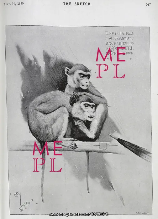 : Illustration of monkeys, pointed by an umbrella, Cecil Aldin : Illustration of monkeys, pointed by an umbrella, Cecil Aldin