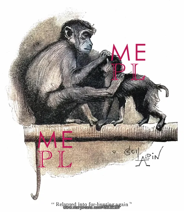 : Illustration, two monkeys in a zoo : Illustration, two monkeys in a zoo