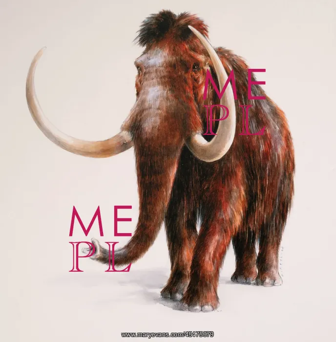 : Illustration, Musee de Prehistoire de Solutre : Illustration, Musee de Prehistoire de Solutre