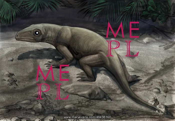 : Illustration of a Nikkasaurus tatarinovi : Illustration of a Nikkasaurus tatarinovi
