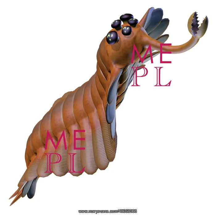 : Illustration of an Opabinia arthropod from the : Illustration of an Opabinia arthropod from the