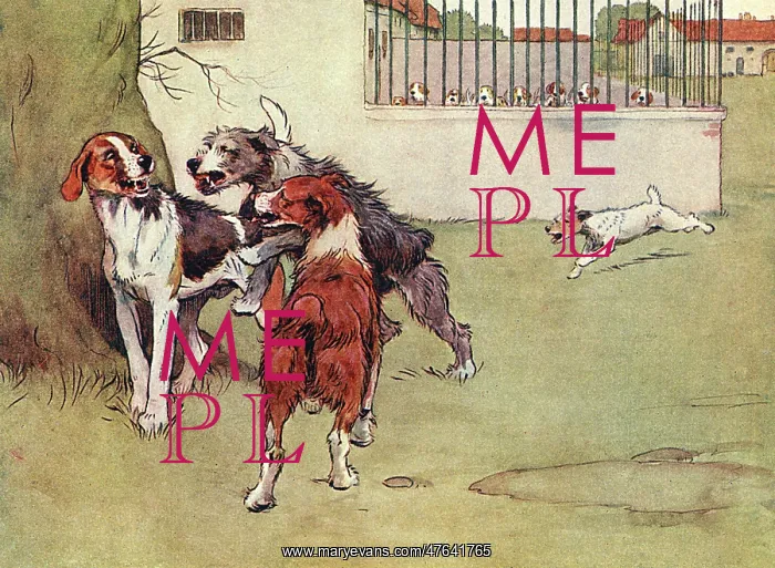 : Illustration, Peter, the fox terrier, with three big dogs : Illustration, Peter, the fox terrier, with three big dogs