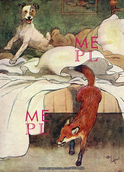 : Illustration, Peter, the fox terrier, discovers a fox : Illustration, Peter, the fox terrier, discovers a fox