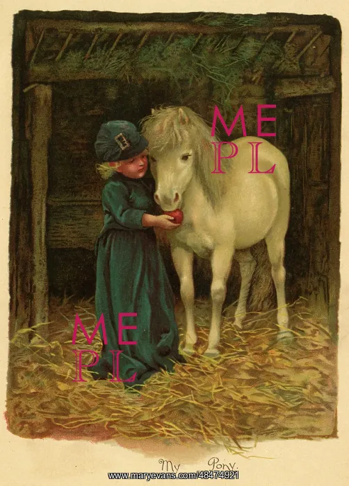  : Illustration, My Pony