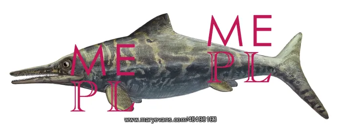: Illustration of a prehistoric Ophthalmosaurus discus : Illustration of a prehistoric Ophthalmosaurus discus