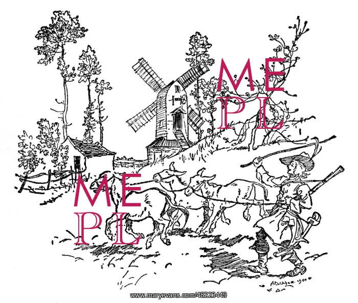  : Illustration, The Salad