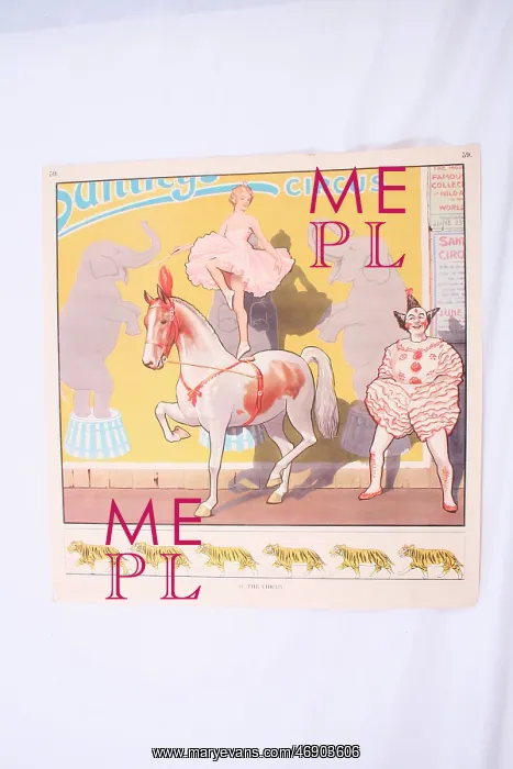 : Illustration for Sanger's Circus : Illustration for Sanger's Circus