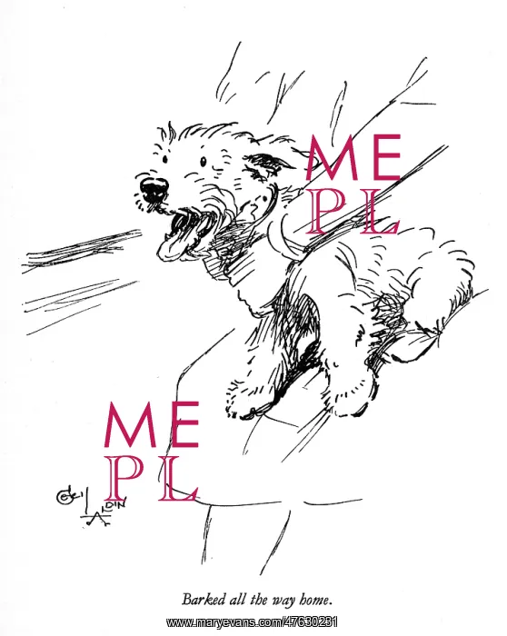 : Illustration of a Sealyham terrier by Cecil Aldin : Illustration of a Sealyham terrier by Cecil Aldin