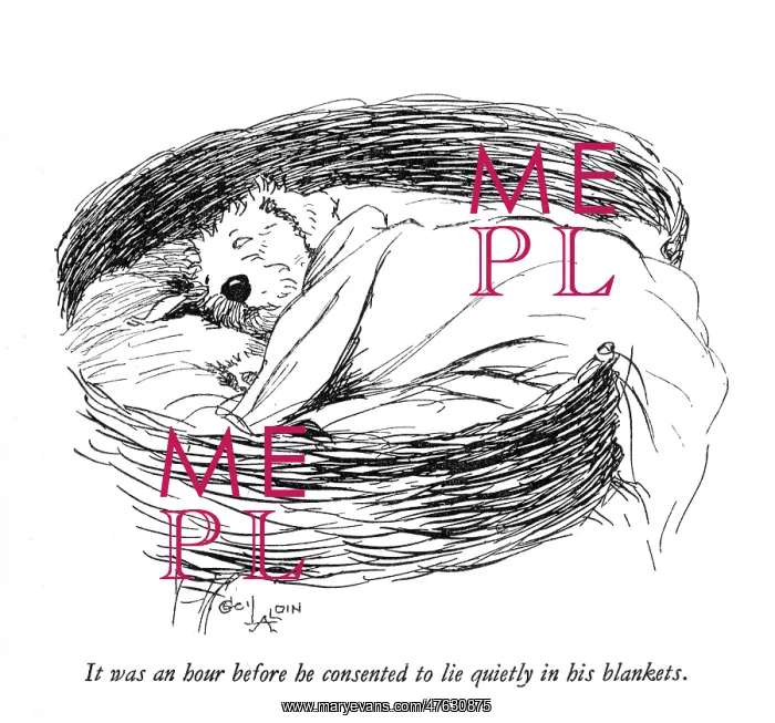 : Illustration of a Sealyham terrier by Cecil Aldin : Illustration of a Sealyham terrier by Cecil Aldin