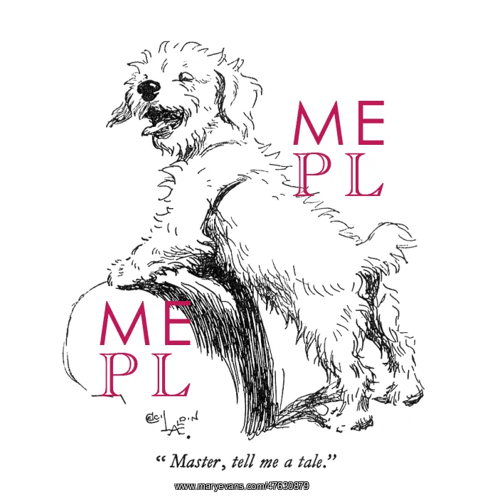 : Illustration of a Sealyham terrier by Cecil Aldin : Illustration of a Sealyham terrier by Cecil Aldin