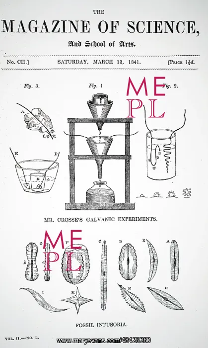 : Illustration showing Andrew Crosse's electrical experiments : Illustration showing Andrew Crosse's electrical experiments