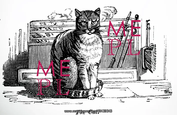 : Illustration showing Cat sitting on the hearth-rug : Illustration showing Cat sitting on the hearth-rug