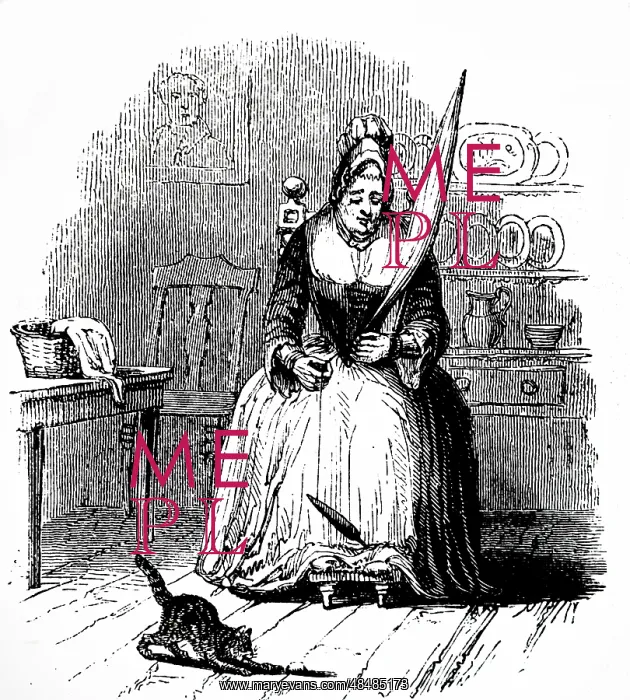 : Illustration showing Cottager spinning : Illustration showing Cottager spinning