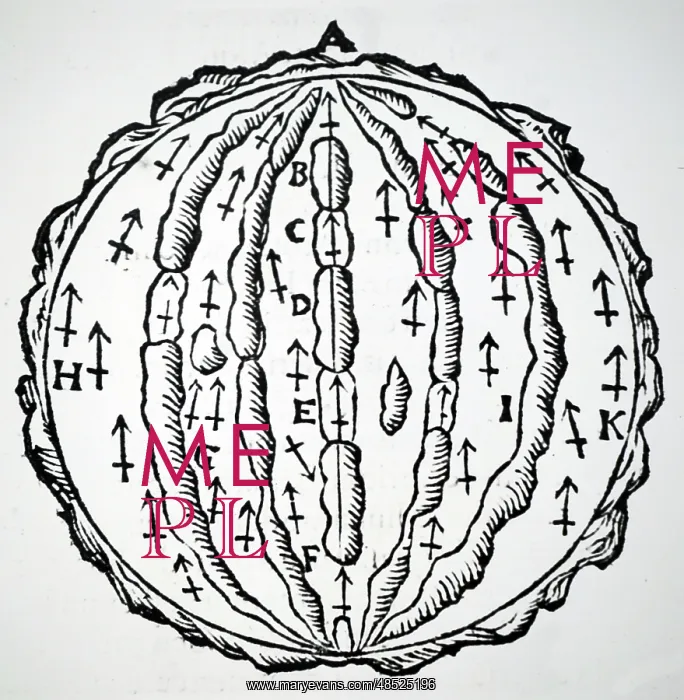 : Illustration showing the Earth as a magnet : Illustration showing the Earth as a magnet