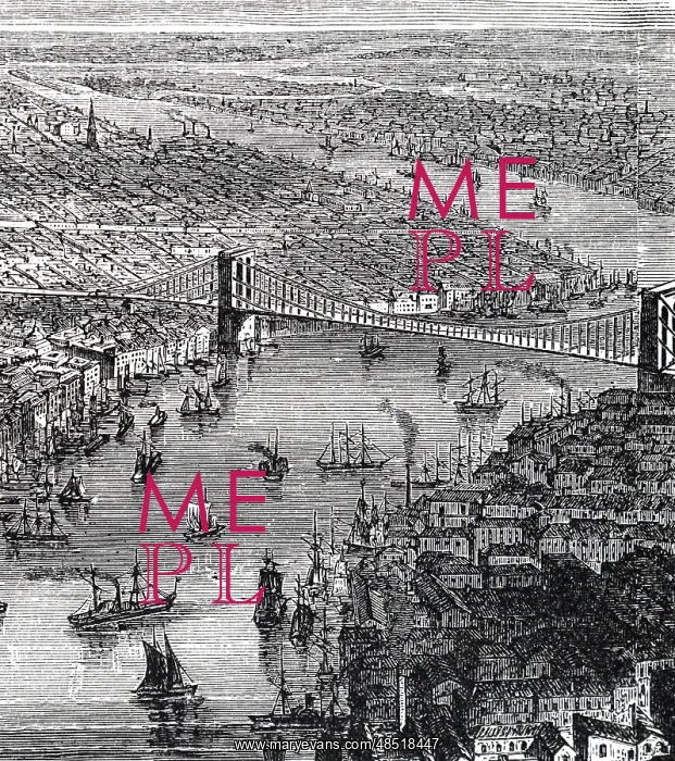 : Illustration showing General view of Brooklyn : Illustration showing General view of Brooklyn