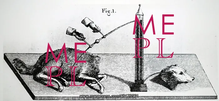 : Illustration showing Investigation of effect of : Illustration showing Investigation of effect of