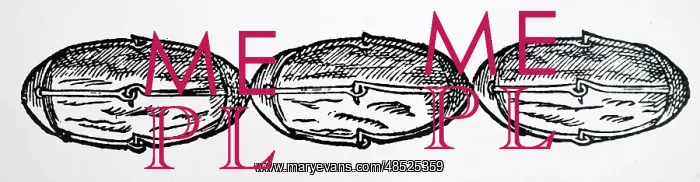 : Illustration showing Lodestones armed with iron : Illustration showing Lodestones armed with iron