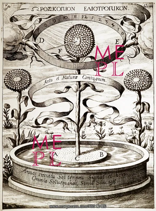 : Illustration showing The magnetic power of the : Illustration showing The magnetic power of the