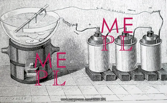  : Illustration showing Objects being electro gilded. 1887