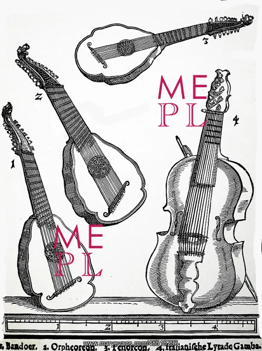 : Illustration showing Old stringed instruments : Illustration showing Old stringed instruments