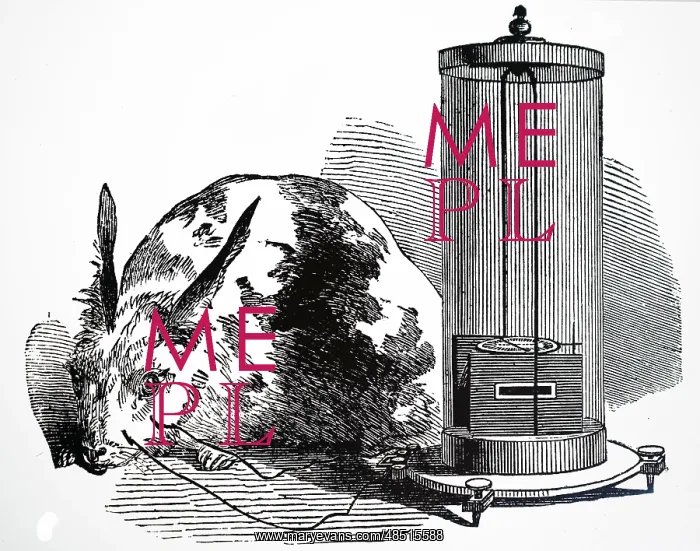 : Illustration showing Pohl's commutator 1890 : Illustration showing Pohl's commutator 1890