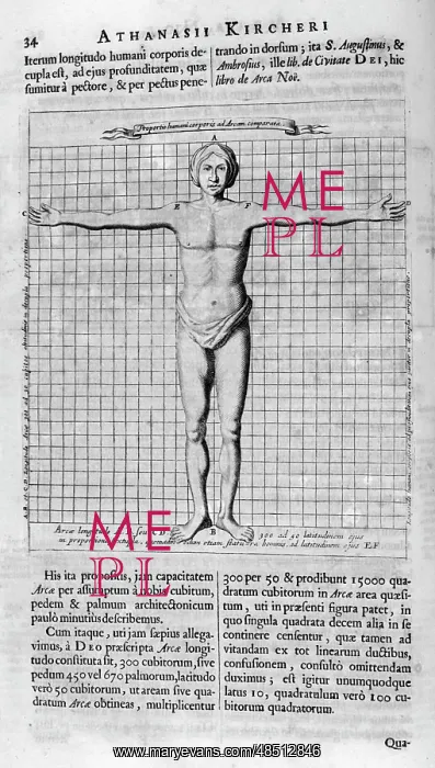 : Illustration showing the proportions of man from : Illustration showing the proportions of man from