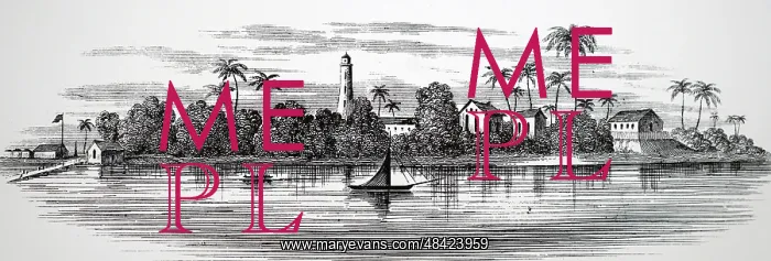  : Illustration showing Street in GEORGETOWN, Guyana. 1882