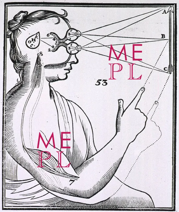 : An illustration showing a theory of vision ? : An illustration showing a theory of vision ?