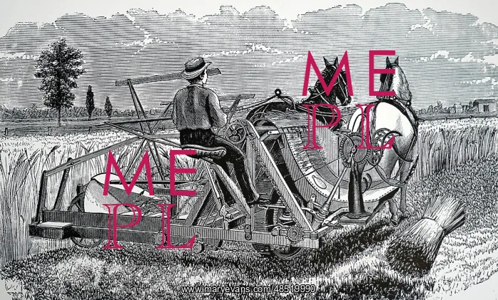 : Illustration showing walter Wood's self-binding : Illustration showing walter Wood's self-binding