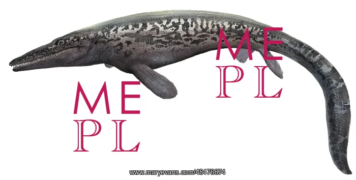  : Illustration of a Tylosaurus from the prehistoric era