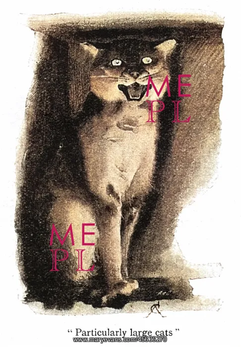 : Illustration, a wild cat in a zoo : Illustration, a wild cat in a zoo