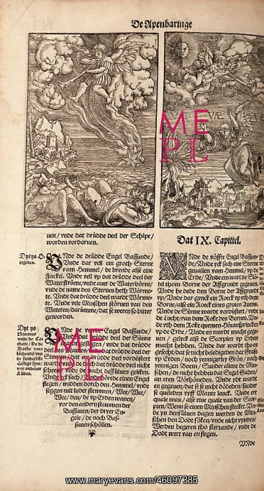 : Illustrations of the Apocalypse from a Low German Luther Bib : Illustrations of the Apocalypse from a Low German Luther Bib