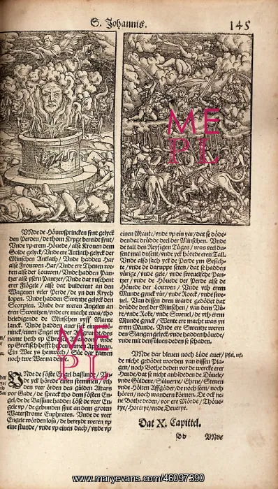 : Illustrations of the Apocalypse from a Low German Luther Bib : Illustrations of the Apocalypse from a Low German Luther Bib