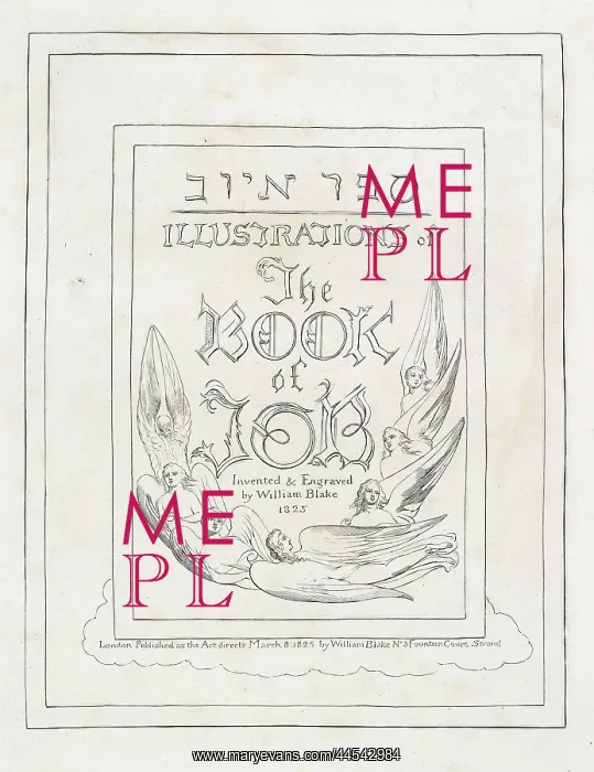 : Illustrations to the Book of Job : Illustrations to the Book of Job
