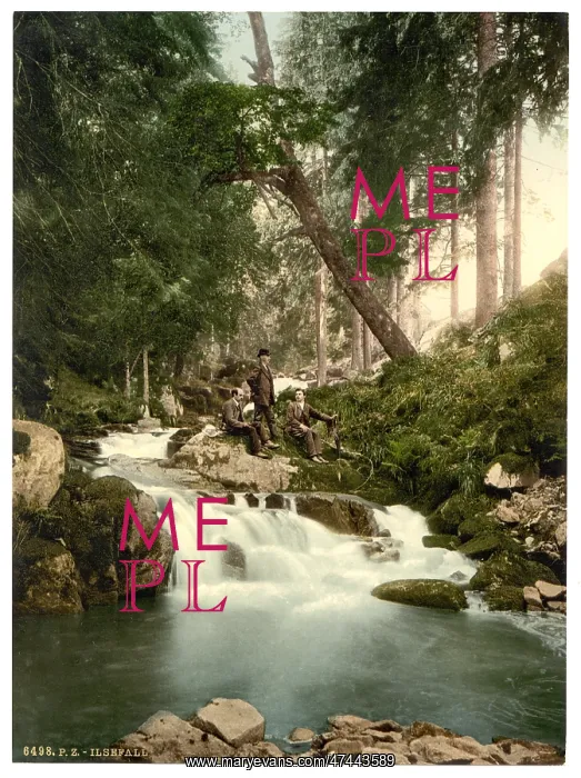 : Ilse Falls, Hartz, Germany : Ilse Falls, Hartz, Germany