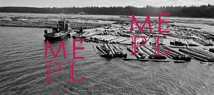 : Ilvensk floating depot : Ilvensk floating depot