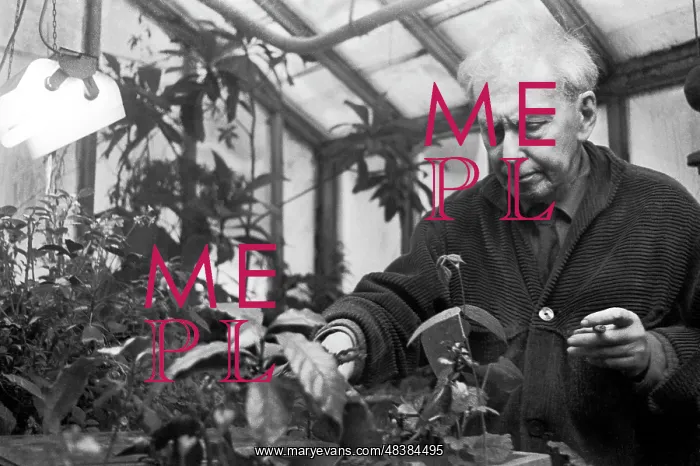 : Ilya Erenburg, 1965 : Ilya Erenburg, 1965