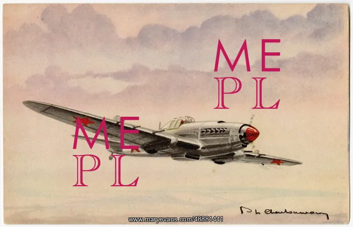 : ILYUSHIN IL-2 SHTURMOVIK : ILYUSHIN IL-2 SHTURMOVIK
