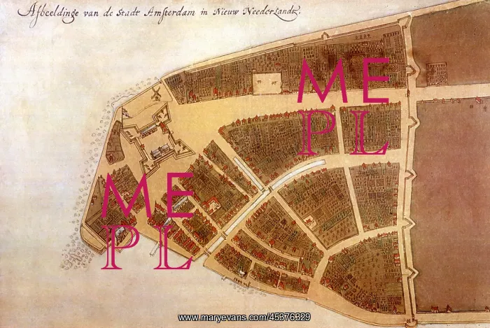 : IMAGE OF THE CITY OF NEW AMSTERDAM IN NEW : IMAGE OF THE CITY OF NEW AMSTERDAM IN NEW