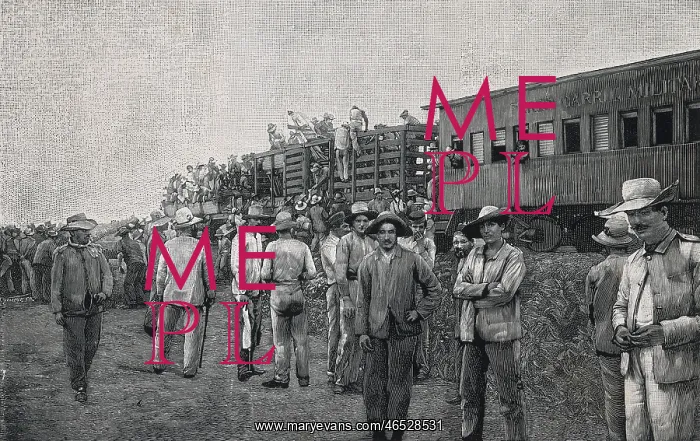 : Image of the construction of the railway in Cuba : Image of the construction of the railway in Cuba