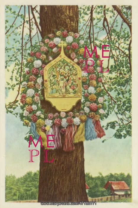 : IMAGE IN MAY : IMAGE IN MAY