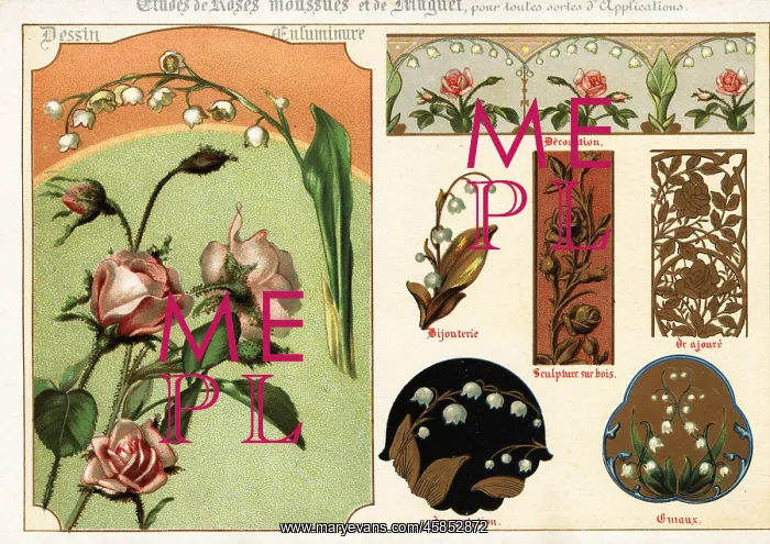 : Images of moss rose and lily of the valley from : Images of moss rose and lily of the valley from