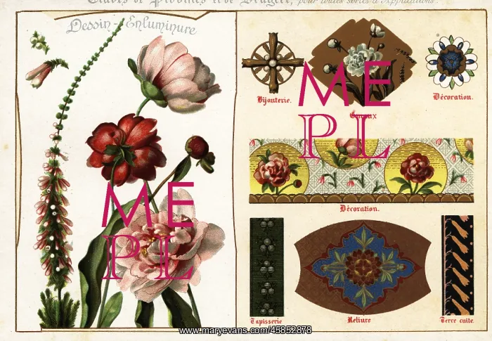 : Images of peony and heather from manuscripts and : Images of peony and heather from manuscripts and